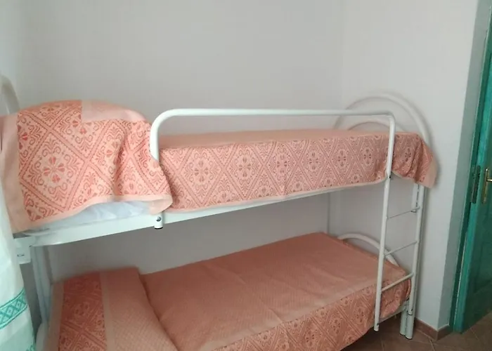 Pittulongu * אולביה