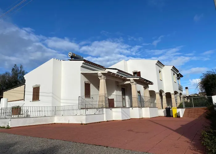 Pittulongu אולביה