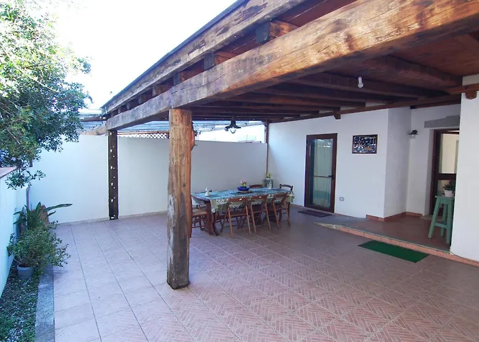 Pittulongu אולביה